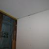 DSC00574