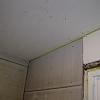 DSC00604